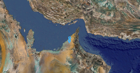 영상판독시스템 이미지 2