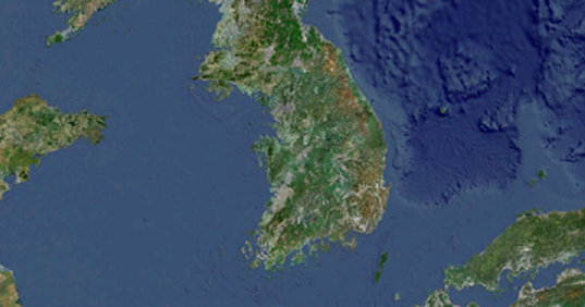 영상판독시스템 이미지 3