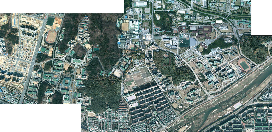 자동색상 조절 및 모자이크 결과 영상 생성 이미지